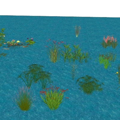  现代荷花水生植物su模型下载 