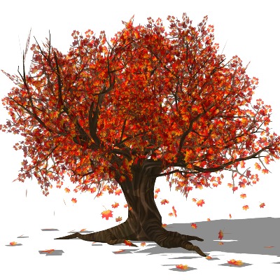  现代枫树su模型下载 