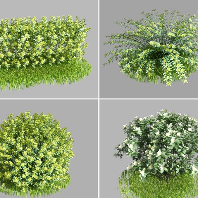  现代灌木花丛su模型下载 