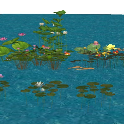  现代荷花莲花su模型下载 