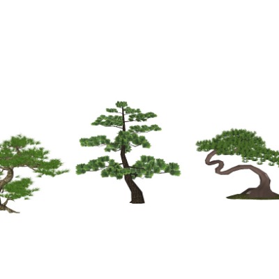  新中式景观树迎客松su模型下载 