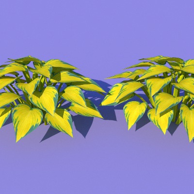  景观植物 花草 野草su模型下载 