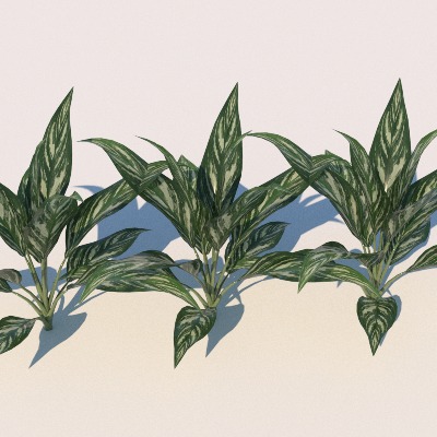  景观植物 花草 野草su模型下载 