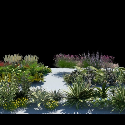  观赏植物 花草 野花su模型下载 