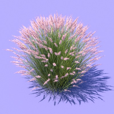  景观植物 花草 野草su模型下载 