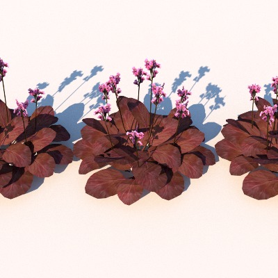  现代花草绿植su下载模型 