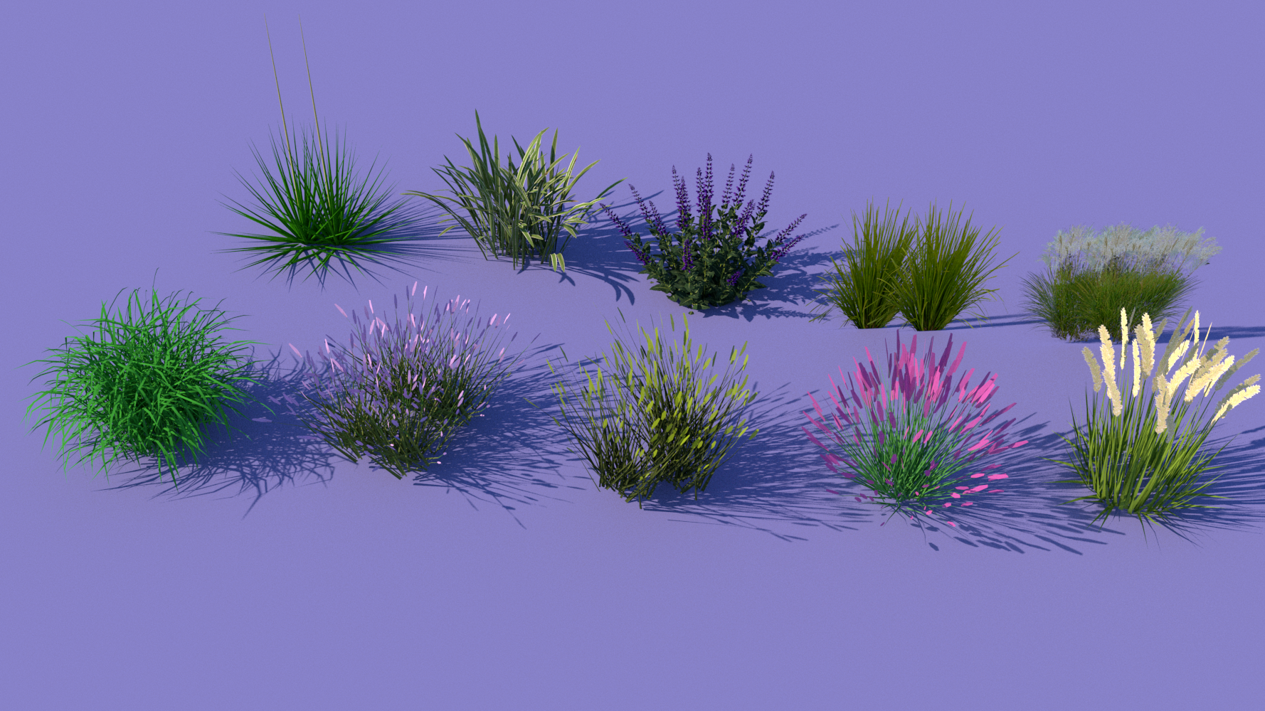  观赏植物su模型下载 