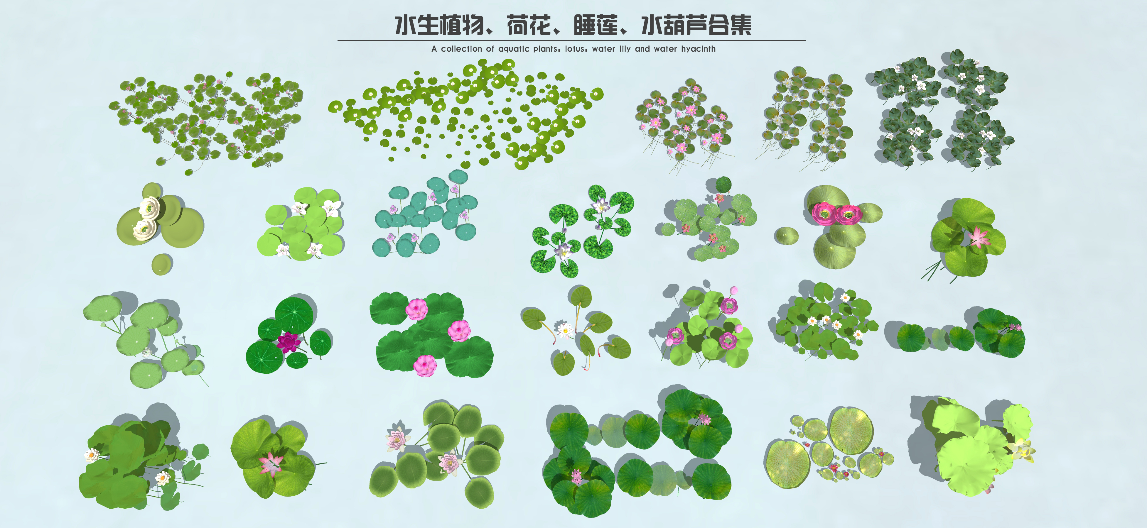  现代水生植物 荷花荷叶 睡莲 水葫芦 湿地公园植物su模型下载 