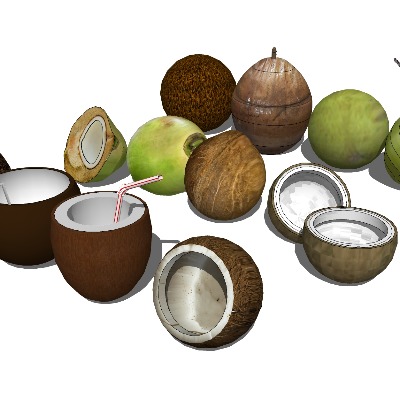  椰子 水果su模型下载 