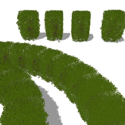  景观植物 灌木 造型植物 绿篱 灌木篱 黄杨篱su模型下载 