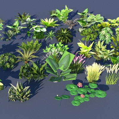  观赏植物 花草 野花su模型下载 