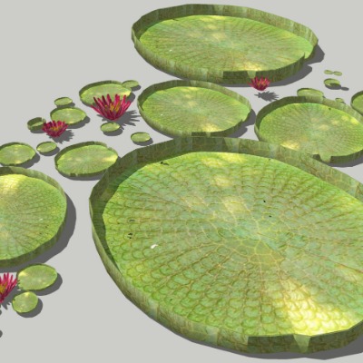  现代莲花荷花su模型下载 