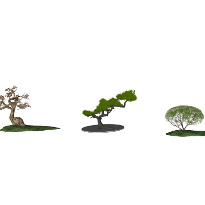  新中式松树迎客松su模型下载 