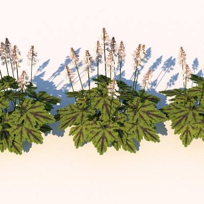  现代花草绿植su下载模型 