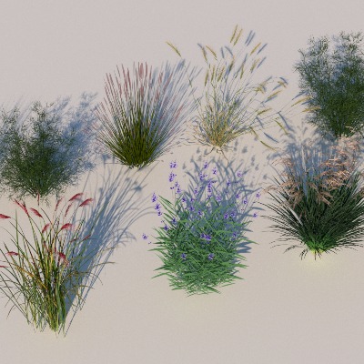  观赏植物 花草 野花su模型下载 