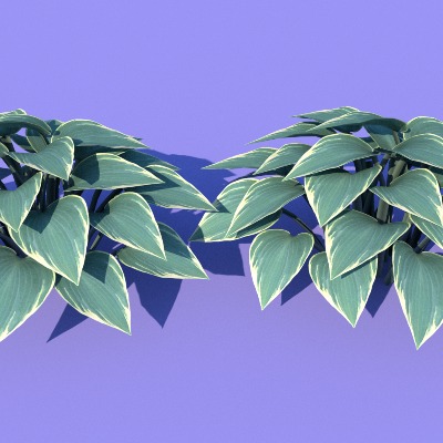  景观植物 花草 野草su模型下载 