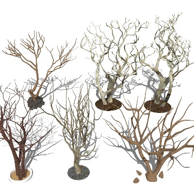  树杆枯树 树木 树枝su模型下载 