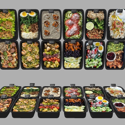  现代便当盒饭食物su模型下载 