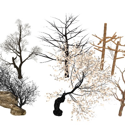  枯树木 树枝 树杆 枯木su模型下载 