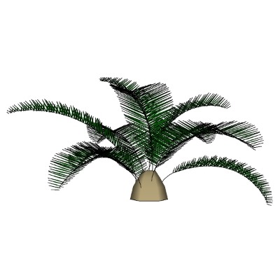  现代绿植花草su模型下载 