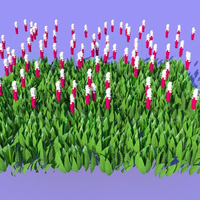  景观植物 花草 野草su模型下载 