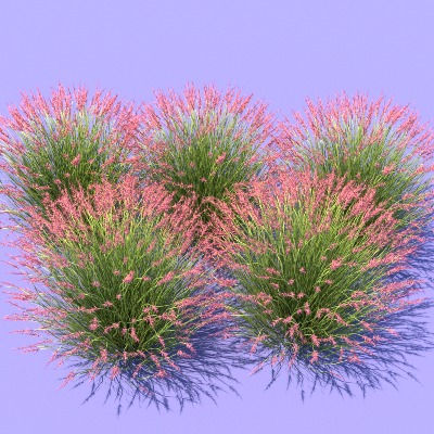  景观植物 花草 野草su模型下载 