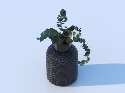  花盆 盆栽 绿植 植物3d模型 