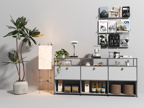 现代餐边柜 植物 落地灯 书架 台灯免费3d模型