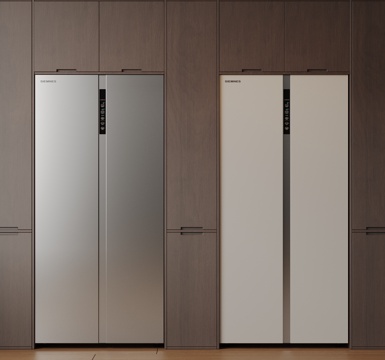  现代极简冰箱 双开门冰箱 简约冰箱柜 中古冰箱 意式冰箱 厨3d模型 