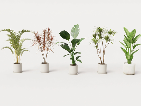  北欧风盆栽 白色花盆 观叶植物 龟背竹旅人蕉棕榈 室内观叶植su模型 