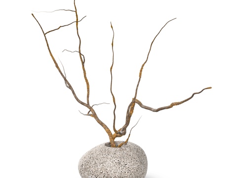  石质花瓶中的枝条3d模型 