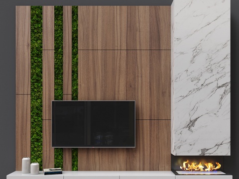  电视Zona 153d模型 