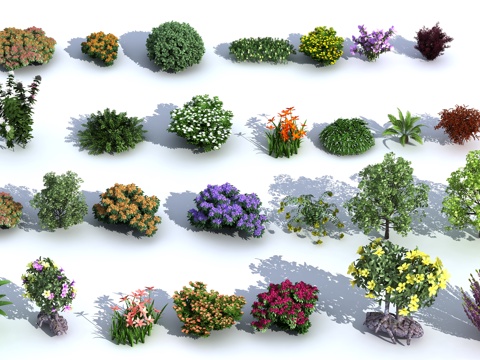  现代灌木 植物 树 花卉3d模型 