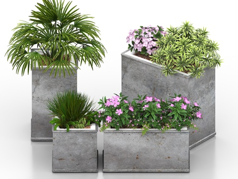  盆栽 户外盆栽 盆景 花园盆栽 花箱 花坛 花体 绿植 绿植3d模型 