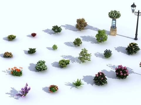  现代灌木 植物 树 花卉3d模型 