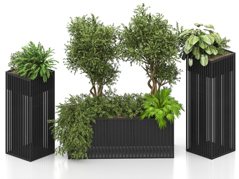  盆栽 户外盆栽 盆景 花园盆栽 花箱 花坛 花体 绿植 绿植3d模型 