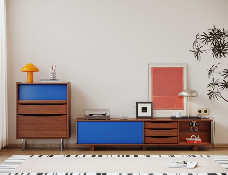  中古风电视柜 包豪斯电视柜 边柜 成品电视柜 实木电视柜3d模型 