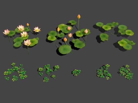  荷花 莲花 荷叶 三叶草植物 卡通植物 水生植物 卡通荷花3d模型 