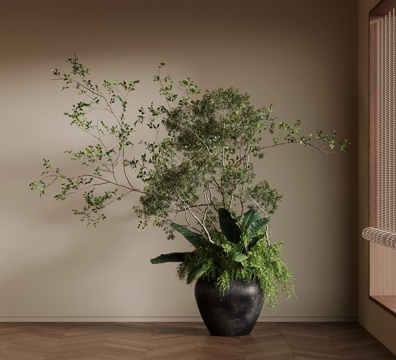  现代中古风盆栽 植物 绿植3d模型 