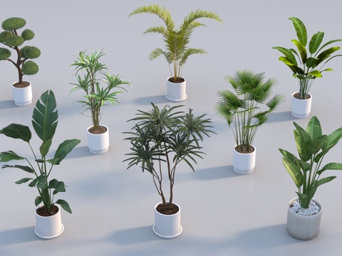 现代盆栽组合3d模型 