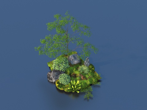 植物 石头灌木草地3d模型