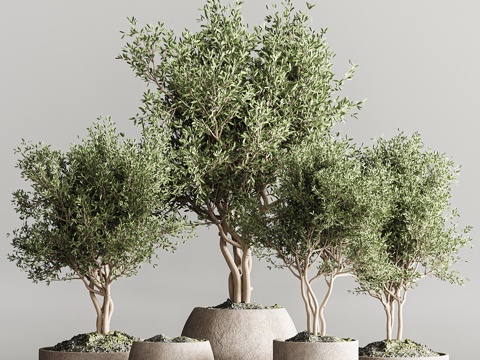  新中式绿植盆栽3d模型 