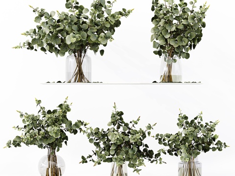  室内植物系列 0353d模型 