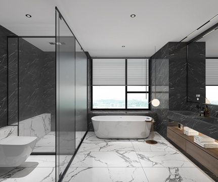  现代卫生间主卧干湿分离黑白灰3d模型 