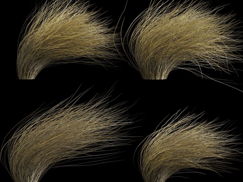  风吹弯的野生干草3d模型 