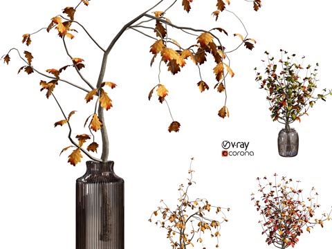  秋季植物3d模型 