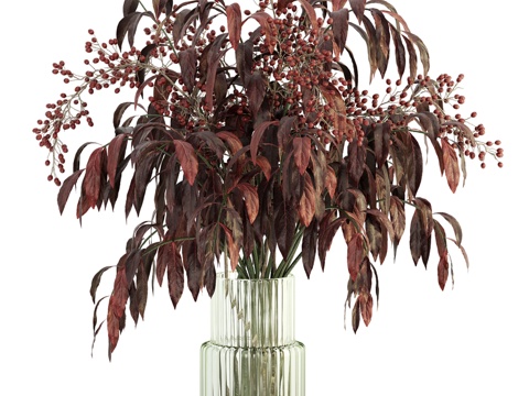  室内植物套装0683d模型 