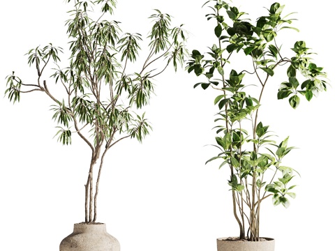  新中式侘寂绿植盆栽3d模型 