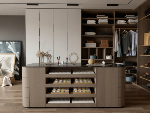  现代衣帽间su模型 