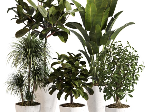  新中式绿植盆栽 花盆3d模型 